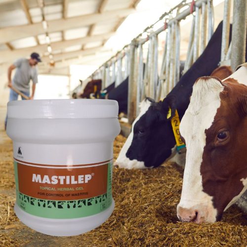 Mastilep tőgygyulladás (mastitis) elleni tőgygél 1 kg