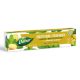 Dabur Ginger + Mint Herbal Fluoride Free Toothpaste with organic ginger, 100 ml