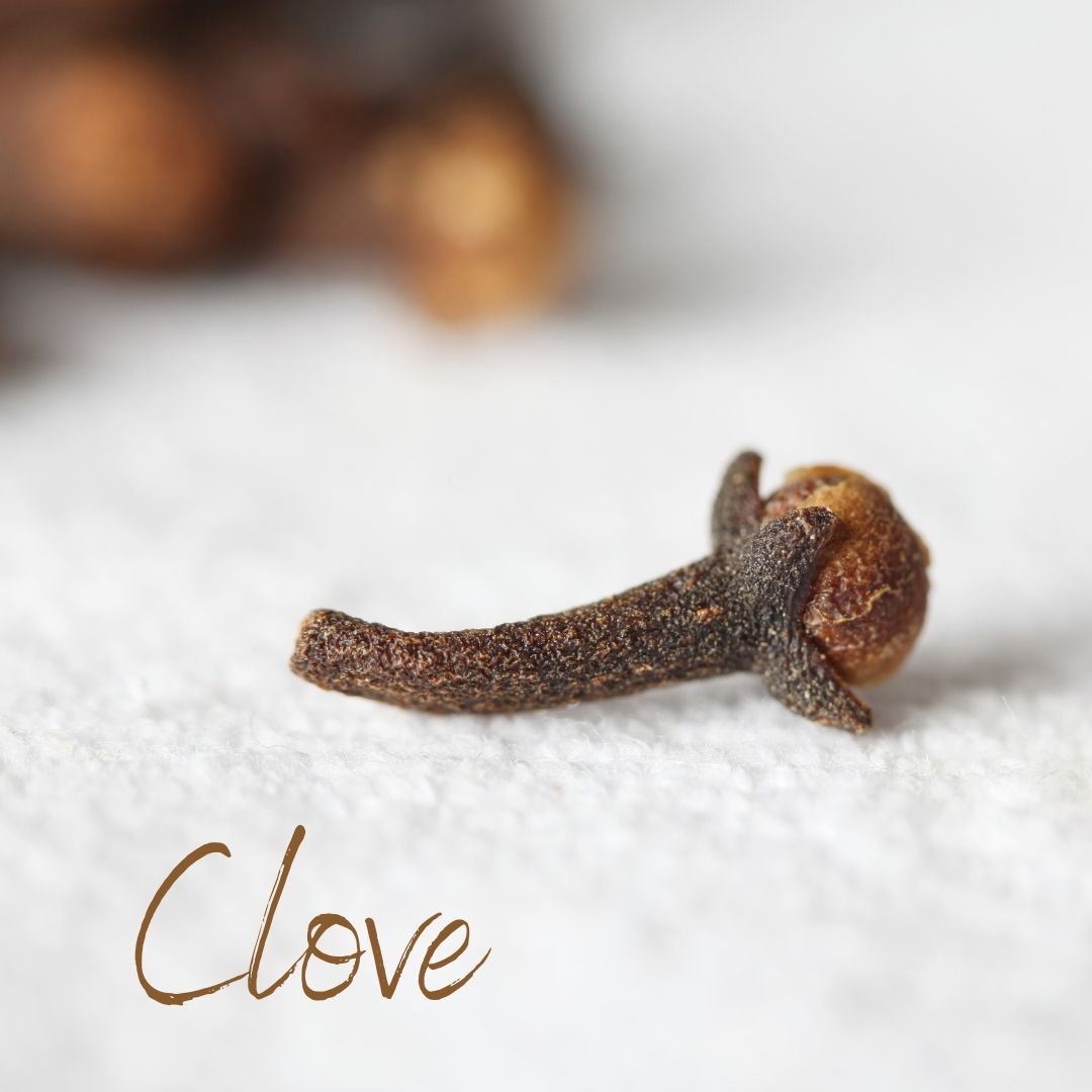 20 Intriguing Facts About Clove You May Not Have Known