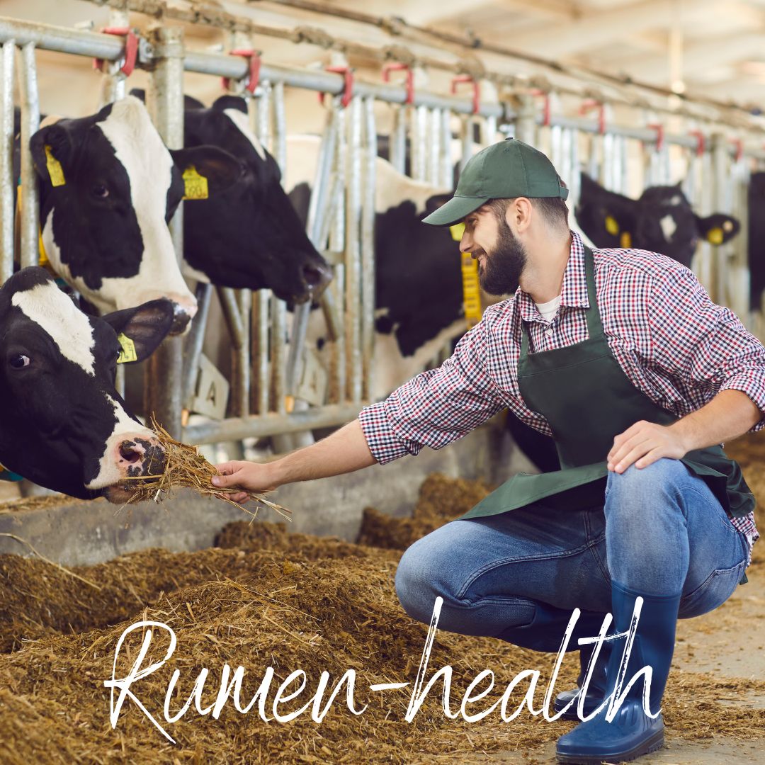 Herbal Formulations and Their Role in Gut Microbiome of Ruminants