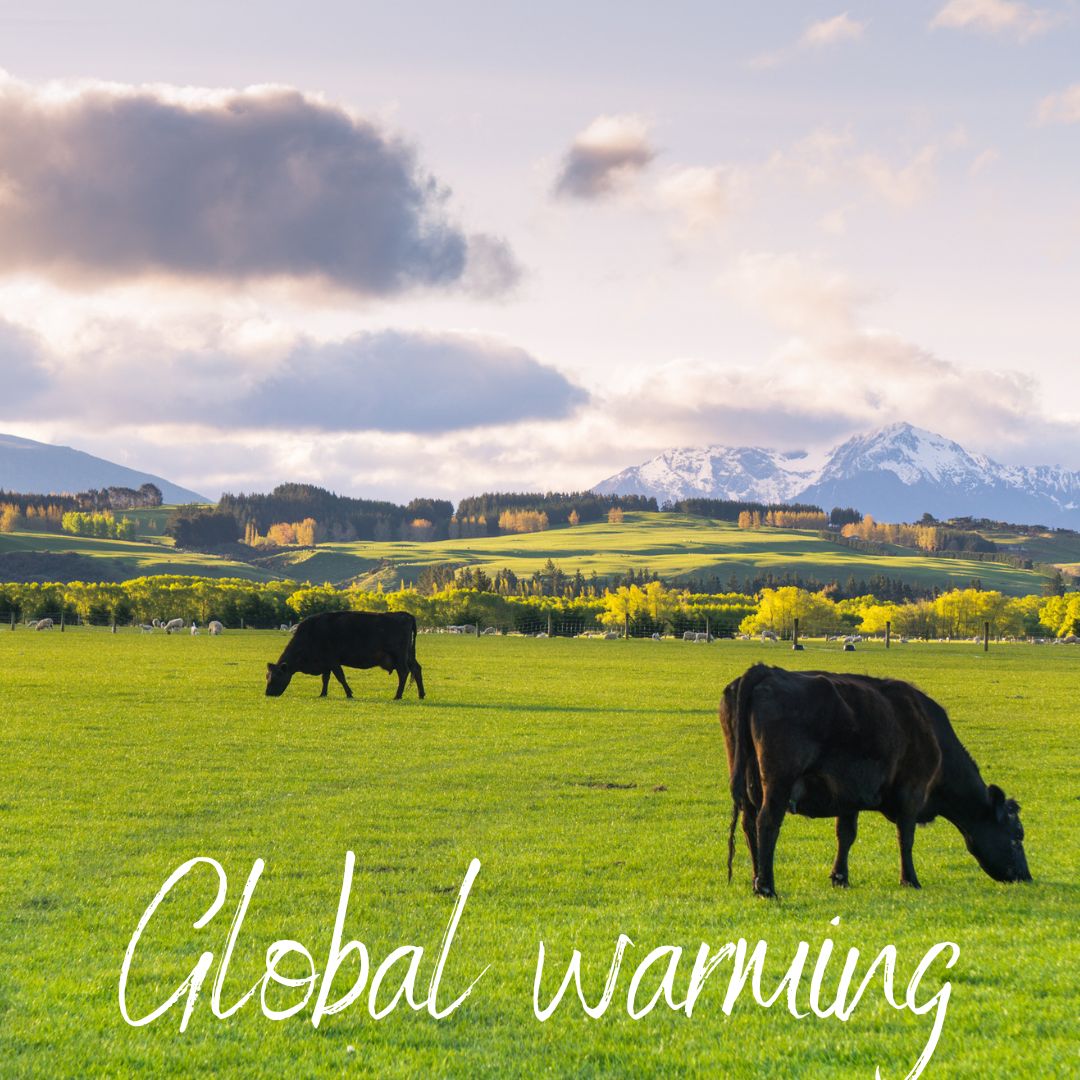Tackling Methane Emissions in Cattle Farming: Strategies for a Sustainable Future